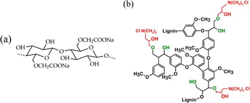 Рисунок 1. Химическая структура (а) полианиона: натрийкарбоксиметилцеллюлозы (NaCMC) и (б) поликатиона: катионного лигнина.