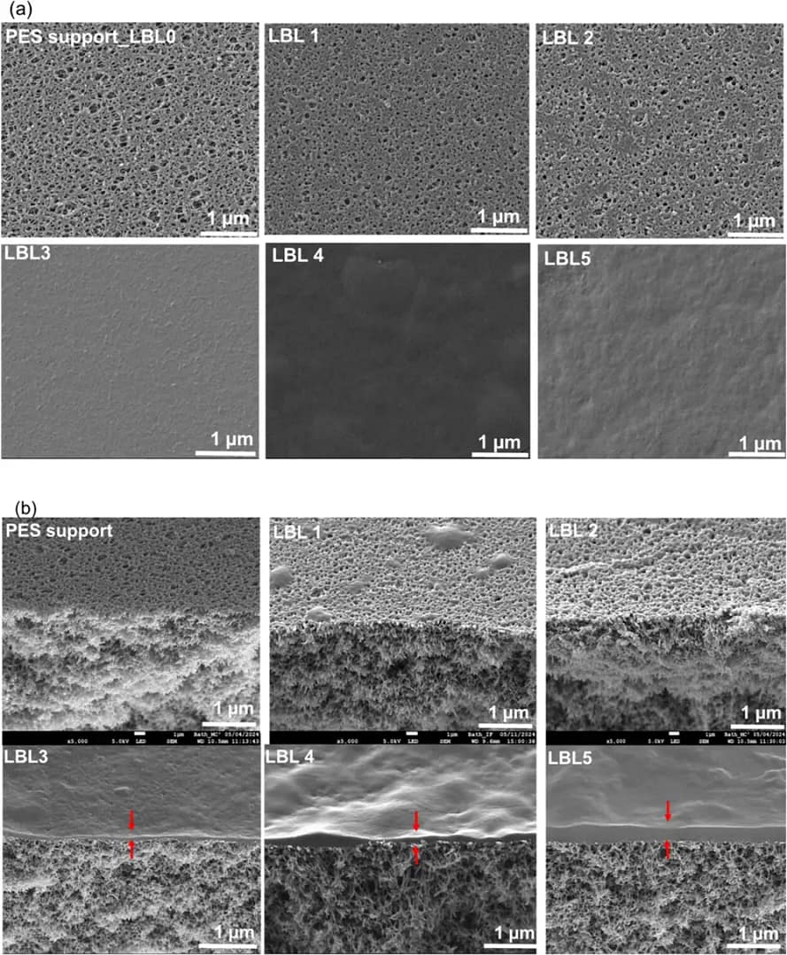 Микрофотографии СЭМ верхней поверхности (верхний ряд) и поперечного сечения (нижний ряд) полиэлектролитных мембран.